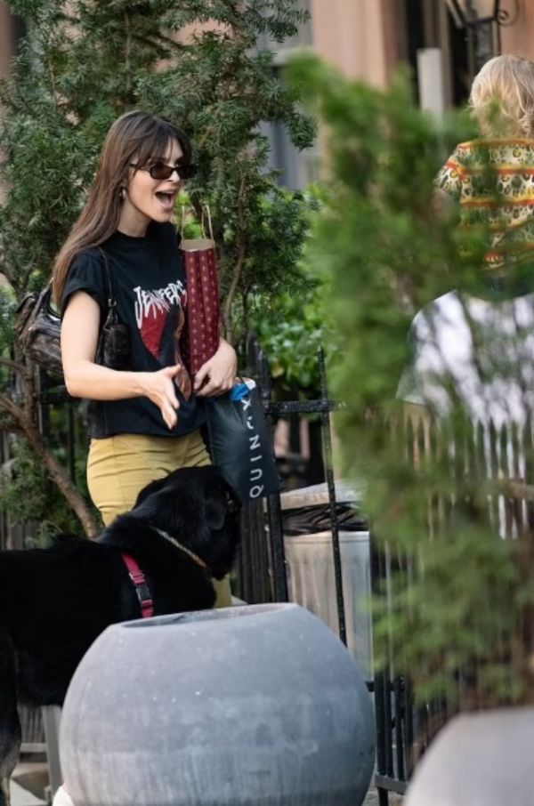 0100_image20.jpeg (80.47 Kb)