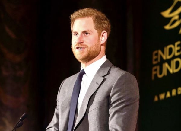 0244_13.jpeg (27.62 Kb)