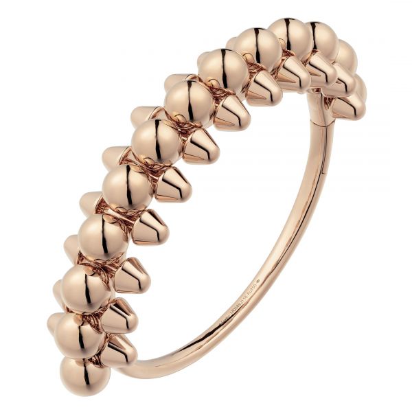 0444_pleminnicidianipa.jpg (33.82 Kb)