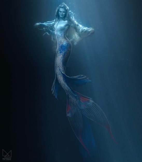 1260_11.jpg (32.31 Kb)