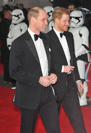 1736_rqwfx1vpr.jpeg (55.92 Kb)