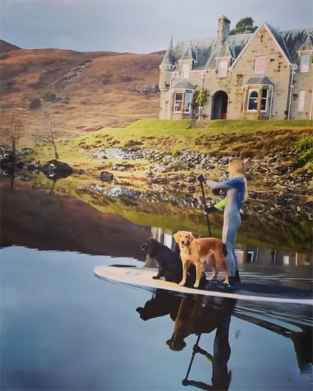 1979_stailsranlmld.jpg (55.44 Kb)