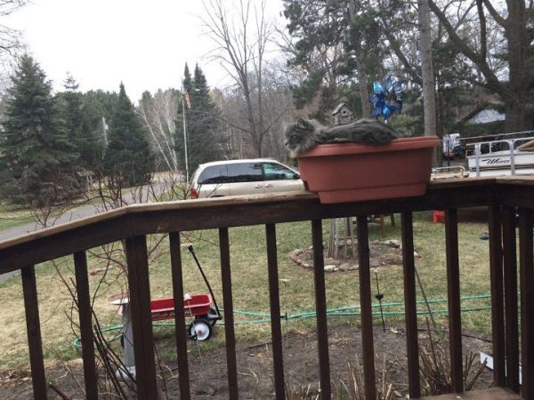 20162303140333_0.jpg (66.04 Kb)