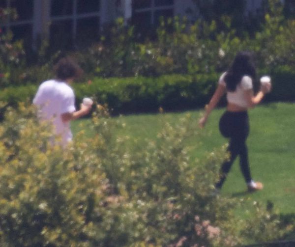 2304_2.jpg (39.17 Kb)