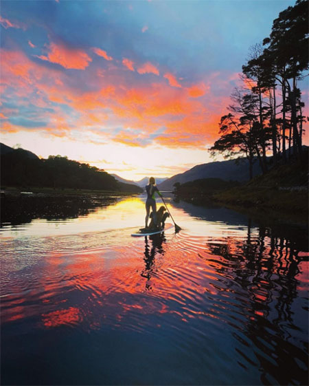 2453_stailsranlml1.jpg (59.79 Kb)