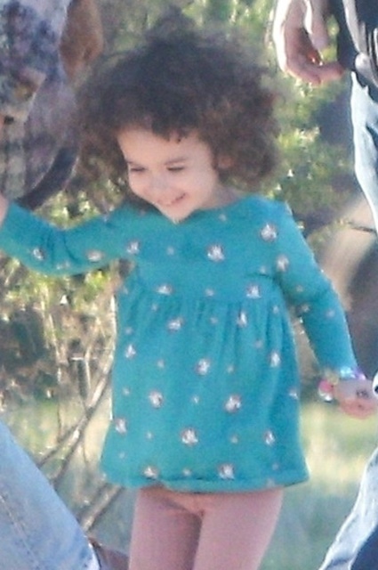 2526_suji8lqjcfw.jpg (91.45 Kb)