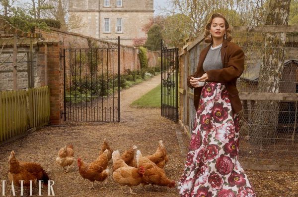 2676_2.jpg (71.56 Kb)