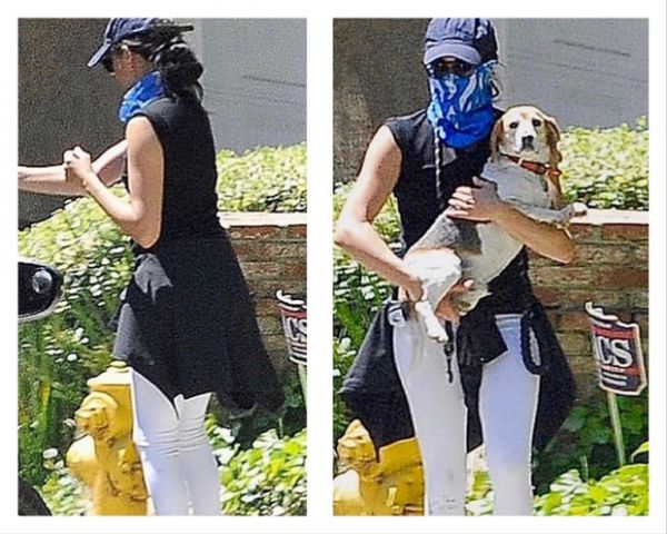 3100_12.jpeg (67.8 Kb)