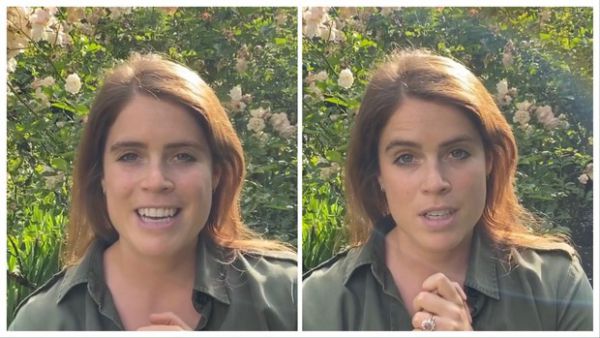 4213_7.jpg (47.22 Kb)