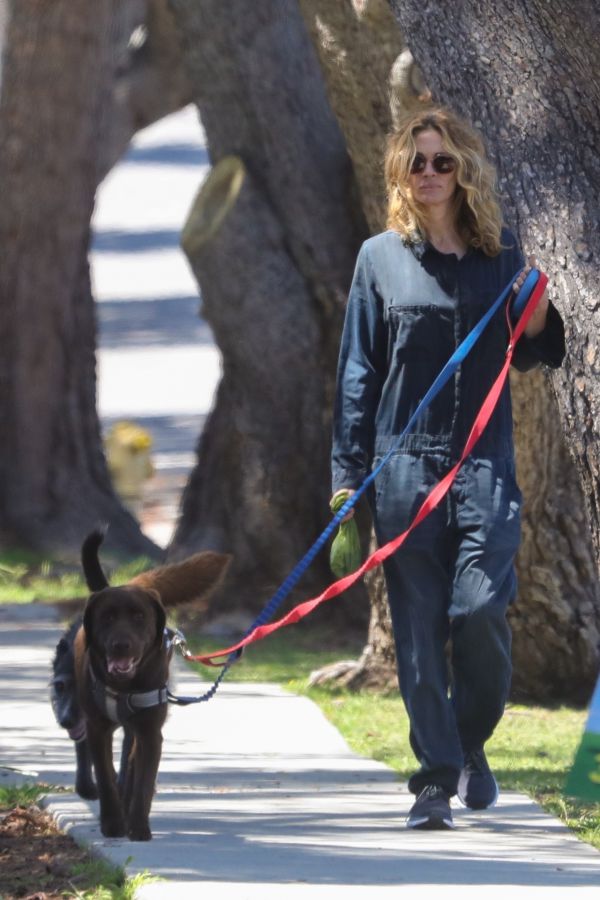 5096_dzh2.jpeg (77.12 Kb)