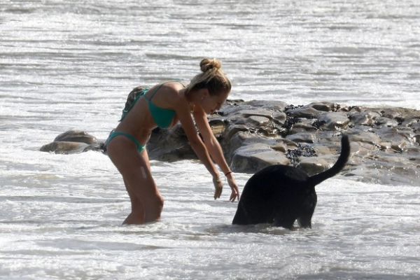 5163_r4.jpeg (50.95 Kb)