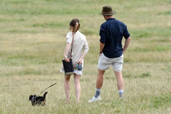 53_e4.jpg (35.98 Kb)