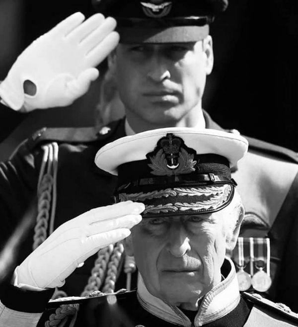 81_28.jpg (50.96 Kb)