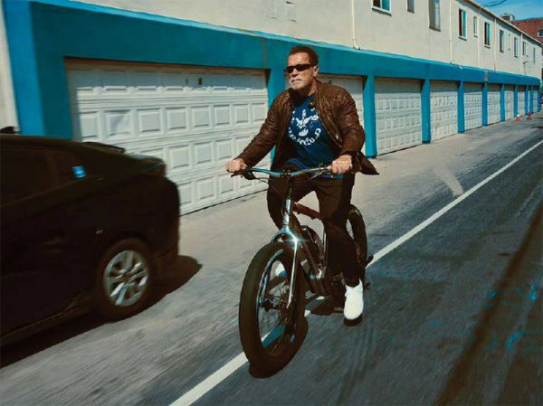 5832_4.jpg (46.27 Kb)