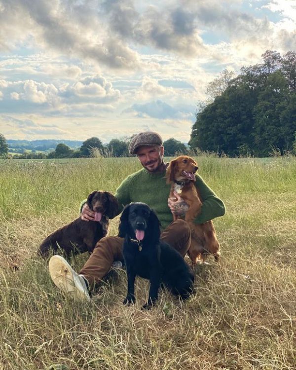 6056_443.jpg (104.56 Kb)