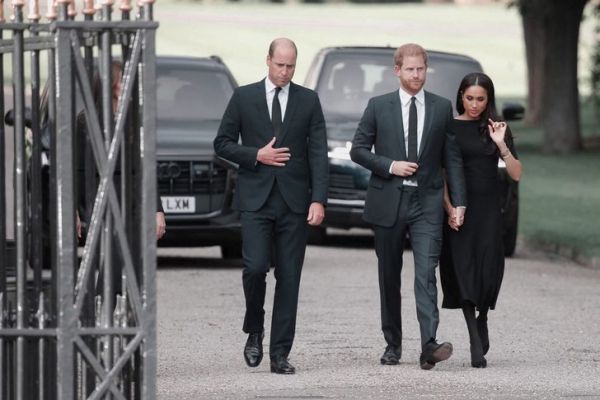 6177_6.jpeg (39.8 Kb)