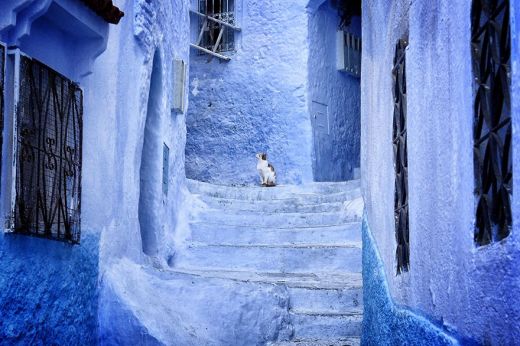 6370960-r3l8t8d-880-blue-streets-of-chefchaouen-morocco-4.jpg (45.22 Kb)