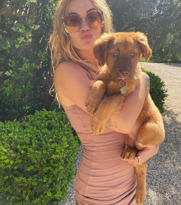 7153_1a.jpeg (93.91 Kb)