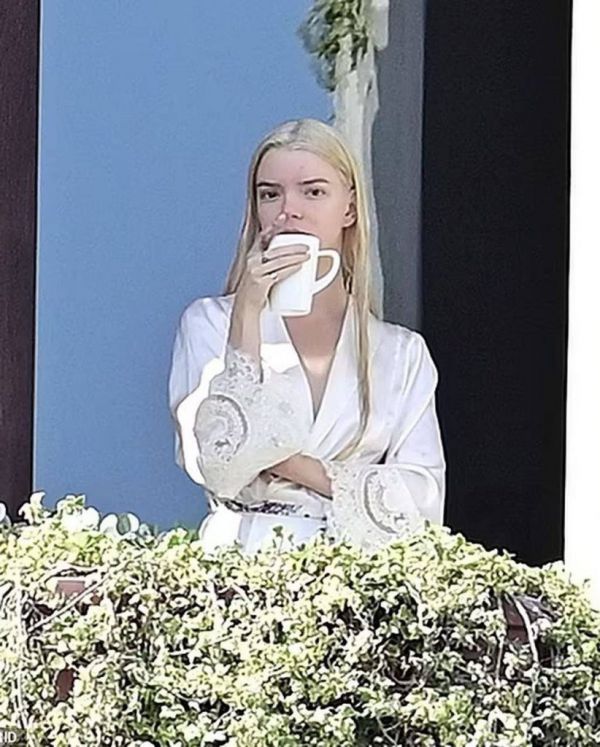 7336_8a.jpeg (86.46 Kb)