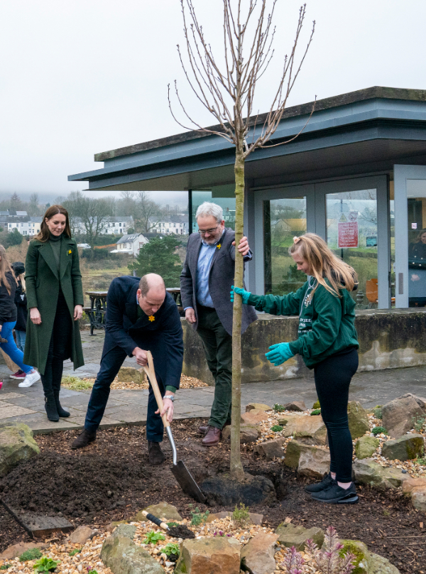 7378_image7.jpeg (628.53 Kb)