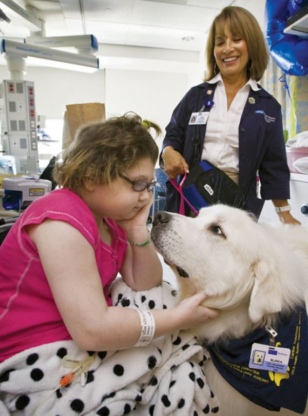 7698_10385115-hospital-pets-allowed.jpg (74.59 Kb)