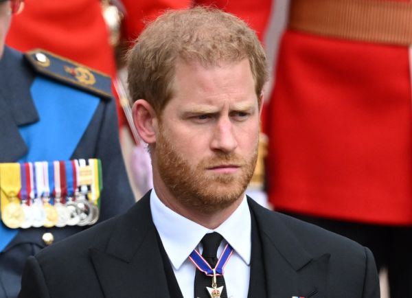 8002_1.jpg (34.15 Kb)