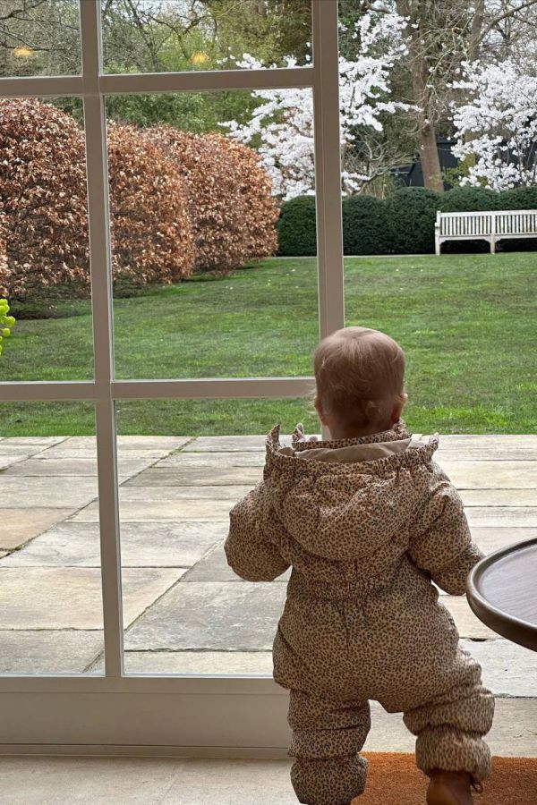 8155_10.jpg (142.61 Kb)