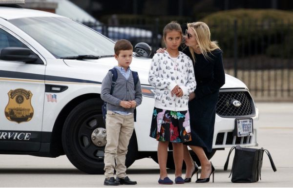 8263_12.jpeg (42.19 Kb)