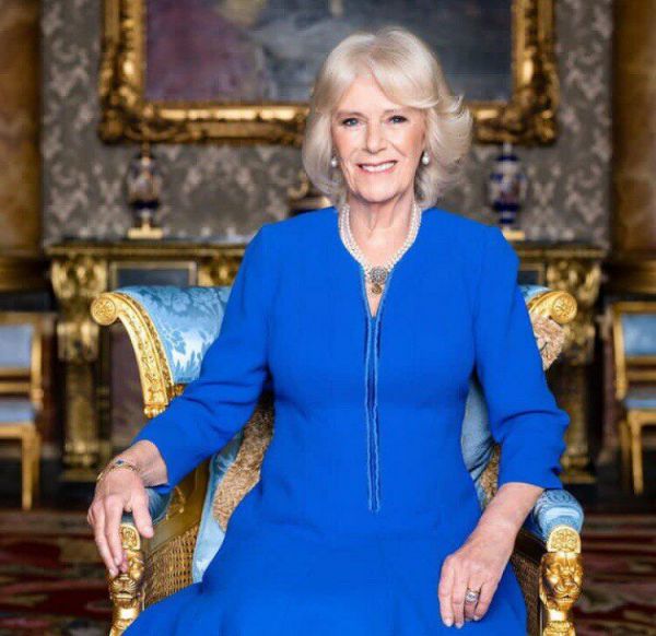 8417_2.jpg (54.87 Kb)