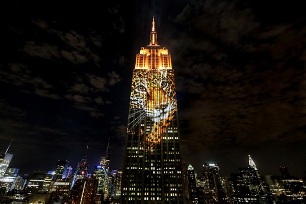 animals-light-up-the-empire-state-building.jpg (36.44 Kb)