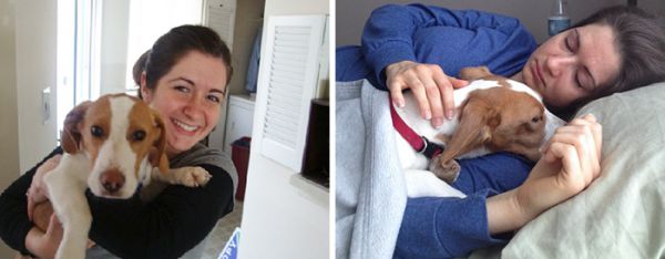before-after-pets-growing-old-first-last-photos-12-7b77efb97a9__700.jpg (25.25 Kb)