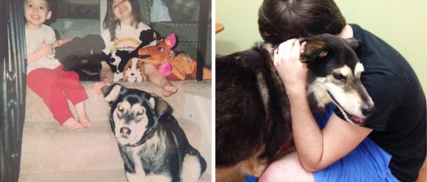 before-after-pets-growing-old-first-last-photos-31-7b97084c7b7__700.jpg (27.34 Kb)