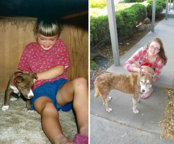 before-after-pets-growing-old-first-last-photos-37-7b9fb6a7607__700.jpg (.87 Kb)
