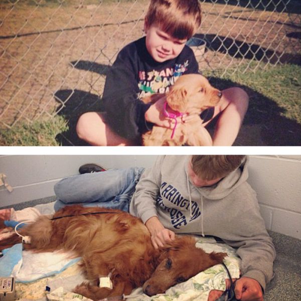 before-after-pets-growing-old-first-last-photos-45-7bad7fe2b4b__700.jpg (67. Kb)