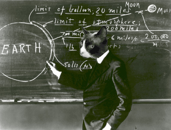 cat-scientists-3.jpg (77.06 Kb)