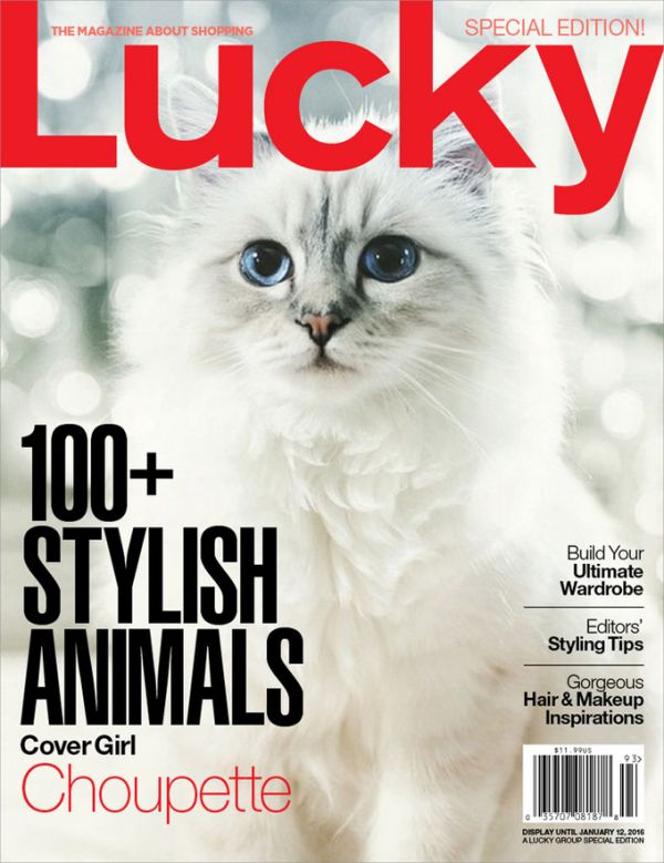choupette-lagerfeld-lucky-cover-2015.jpg (71.35 Kb)