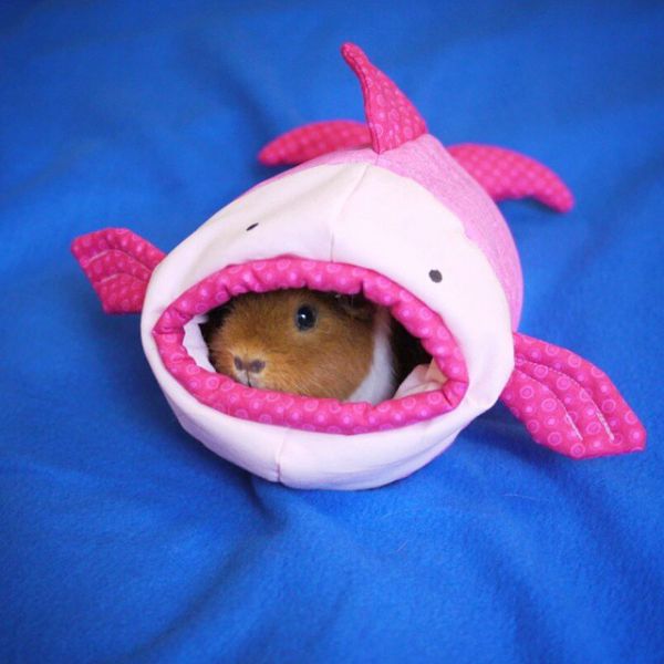 cute-hamster-costumes-fuzzberta-instagram-9.jpg (42.18 Kb)