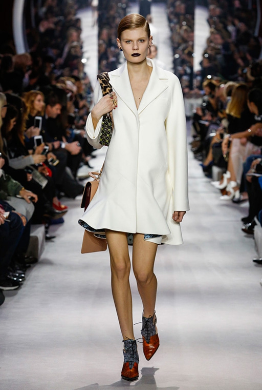 dior-rtw-fw16-8234.jpg (209.42 Kb)