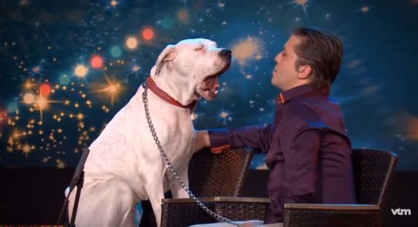 dogs-sings-in-talent-contest.jpg (27.73 Kb)