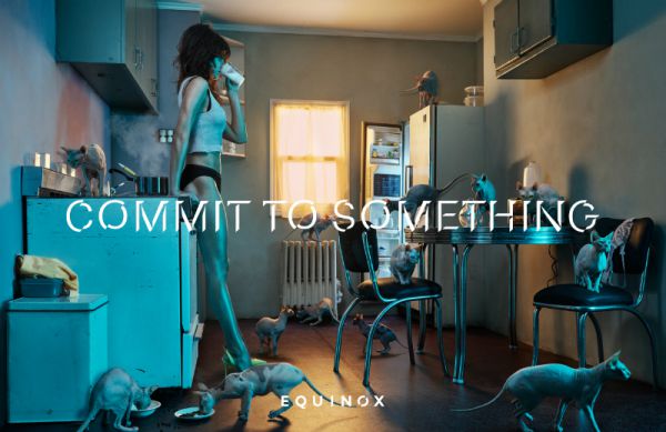 equinoxcommittosomething02.jpg (42.28 Kb)