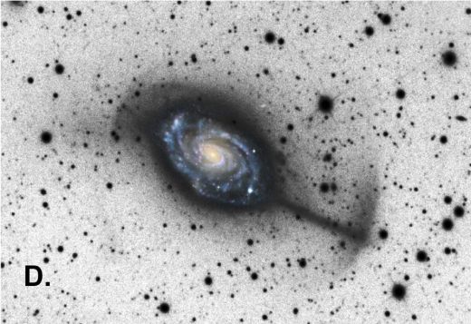 galaxy_survey_figure1_d.jpg (45.73 Kb)