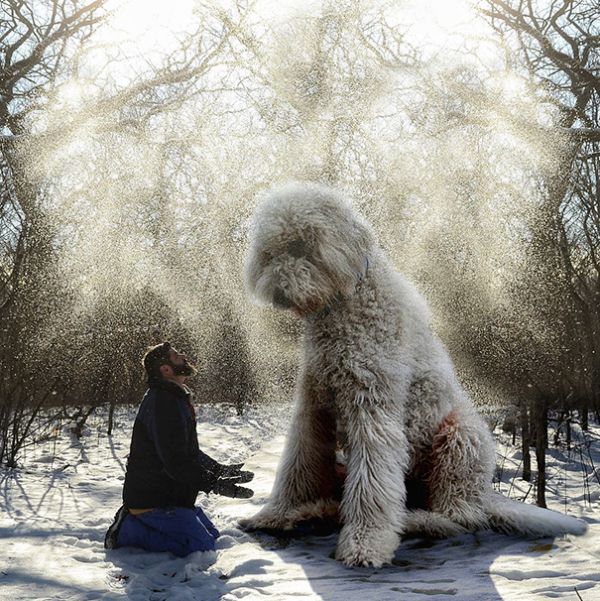 giant-dog-photoshop-adventures-juji-christopher-cline-1.jpg (108.02 Kb)