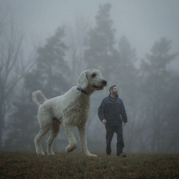 giant-dog-photoshop-adventures-juji-christopher-cline-201.jpg (31.22 Kb)