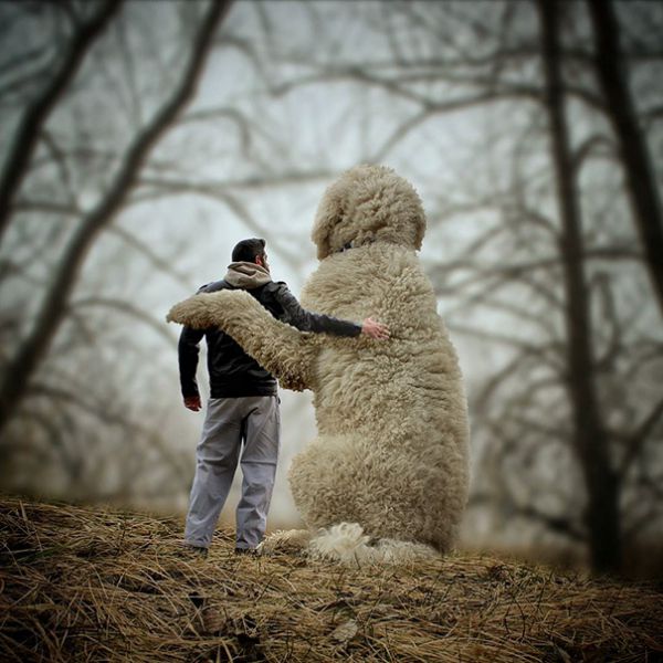 giant-dog-photoshop-adventures-juji-christopher-cline-61.jpg (60.75 Kb)