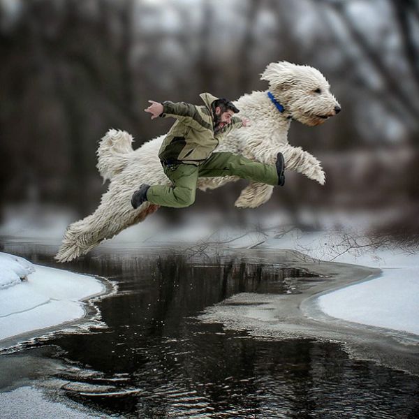giant-dog-photoshop-adventures-juji-christopher-cline-88.jpg (62.66 Kb)