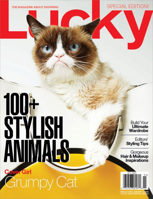 grumpy-cat-lucky-cover-2015.jpg (82.36 Kb)