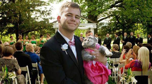 guy-takes-cat-prom-ruby-sam-steingard-7.jpg (.51 Kb)