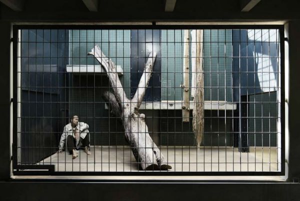 human-zoo-photo_1.jpg (45.63 Kb)