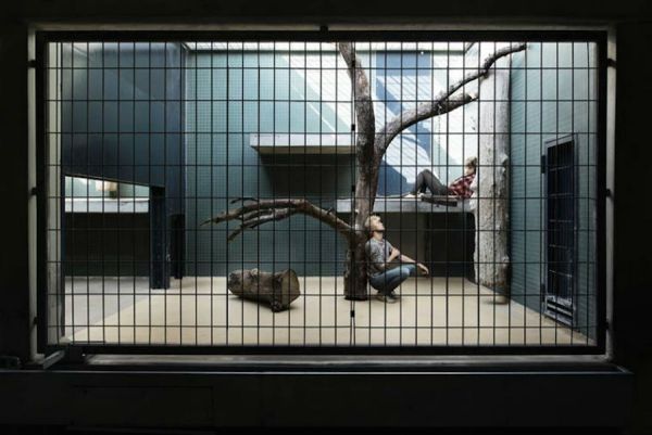 human-zoo-photo_10.jpg (43.8 Kb)