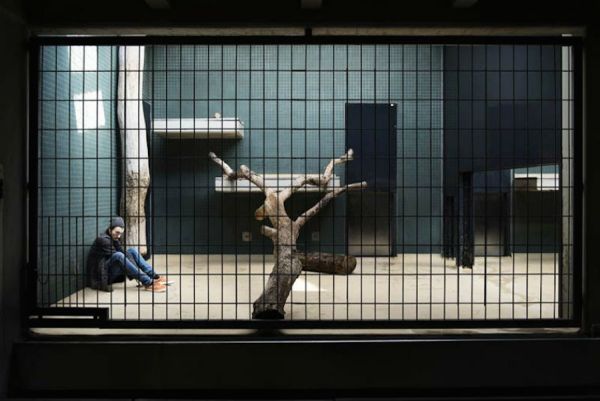 human-zoo-photo_2.jpg (40.75 Kb)